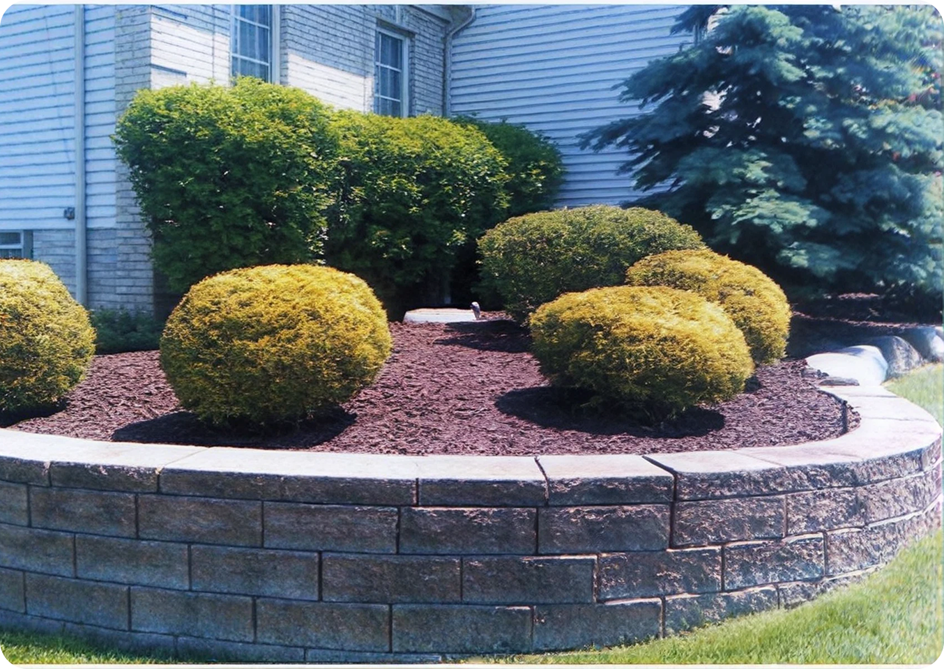Brick-edged garden with trimmed shrubs.