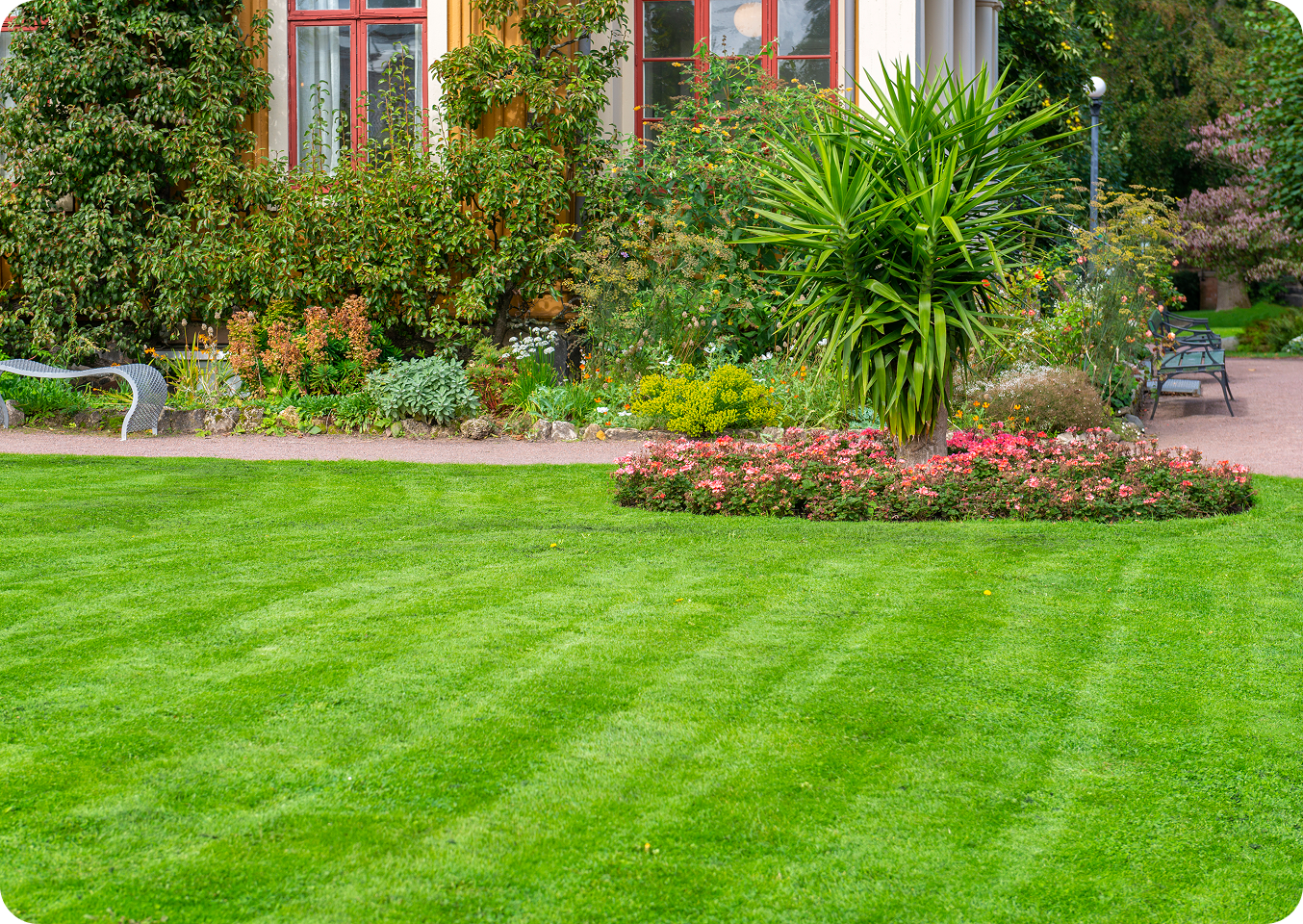 Lush garden with green lawn and plants.